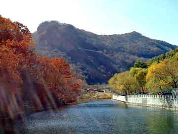 新澳天天开奖资料大全旅游团，长安星卡论坛